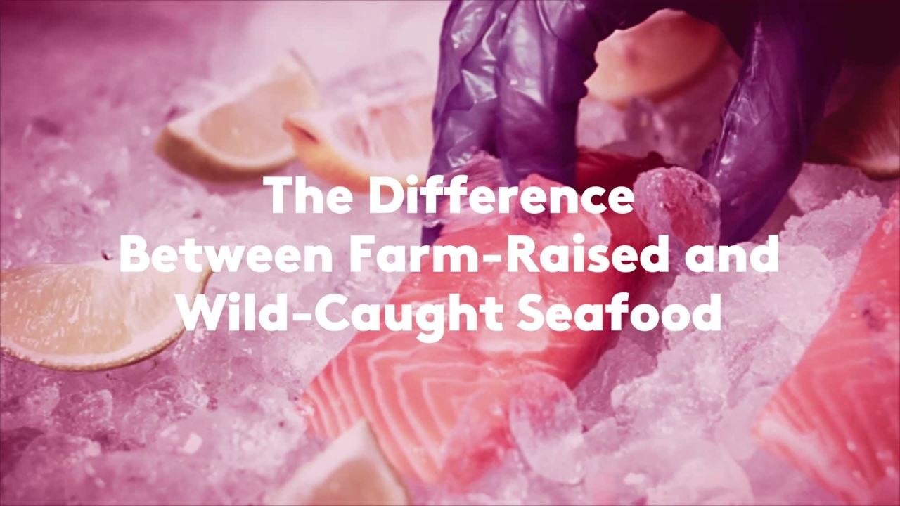 The Difference Between Farm-Raised and Wild-Caught Seafood