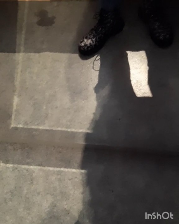 1Titel2Sänger* Esch; Park Claire Chêne&Park Laval * Corona Tag 575