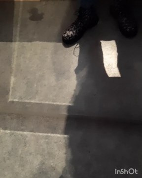 1Titel2Sänger* Esch; Park Claire Chêne&Park Laval * Corona Tag 575