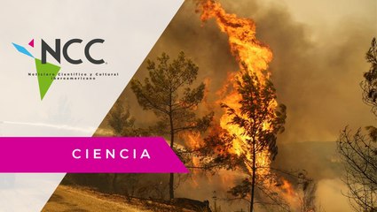 ¿Cómo el calentamiento global cambiará el mundo en las próximas décadas?