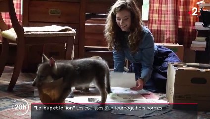 Cinéma : dans les coulisses du tournage hors normes du film "Le loup et le lion"