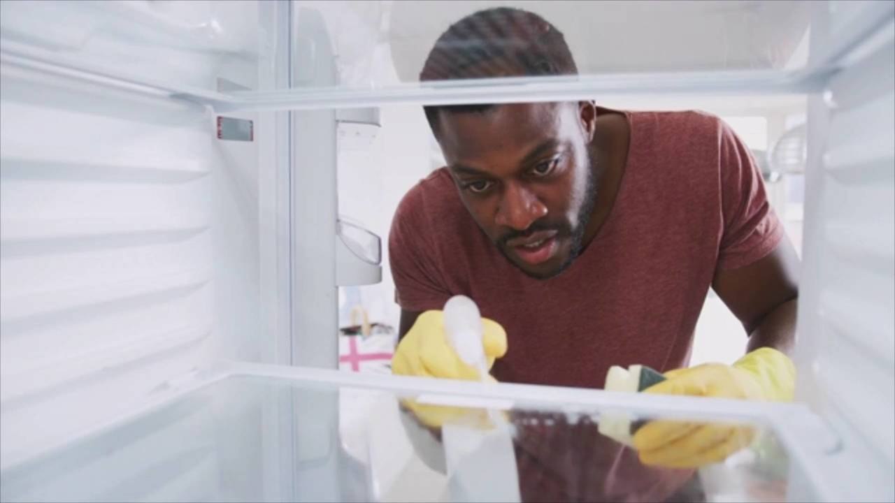 Why You Should Clean Your Refrigerator Door Gaskets ASAP