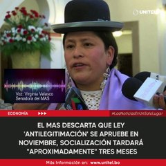 El MAS descarta aprobar ley 'antilegitimación' en noviembre y proyecta tres meses de socialización