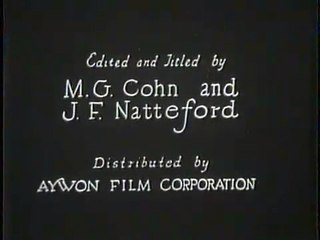 The Battle at Elderbush Gulch (La batalla en Elderbush Gulch) [1913]