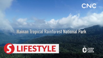 Hainan Tropical Rainforest National Park