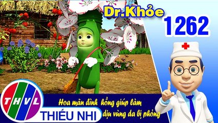 Dr. Khỏe - Tập 1262: Hoa mãn đình  hồng giúp làm dịu vùng da bị phỏng