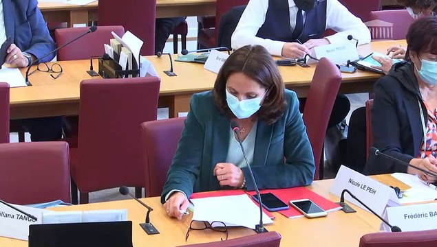 Commission des affaires étrangères : Examen des avis budgétaires sur le projet de loi de finances pour 2022 - Mercredi 13 octobre 2021