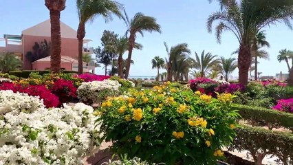 شاهد كيف يروج النجوم العالميون للسياحة في مصر ورسائل مهرجان الجونة