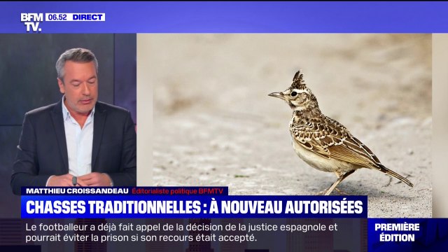 Certaines chasses traditionnelles vont être à nouveau autorisées