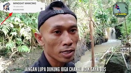 IKAN BANYAK PEMANCING ENTAH KEMANA || SUNGAI KECIL IKANNYA BABON BABON