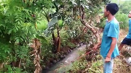 Mancing Di Sungai Kecil Tapi Ikannya Banyak