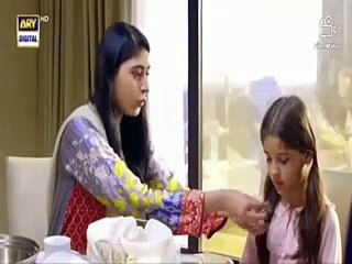 Neeli Zinda Hai Episode 29