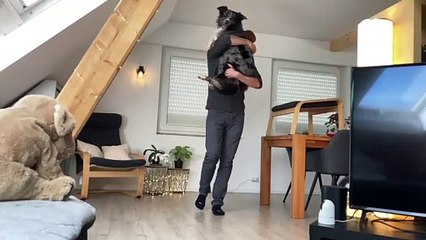 Clever Doggy Shows Complete Trust