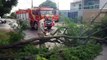 Corpo de Bombeiros inicia trabalho de cortes e podas de árvores que estão bloqueando ruas da cidade