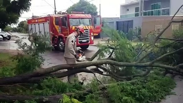 Corpo de Bombeiros inicia trabalho de cortes e podas de árvores que estão bloqueando ruas da cidade