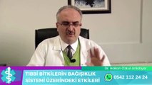 TIBBİ BİTKİLERİN BAĞIŞIKLIK SİSTEMİ ÜZERİNDEKİ ETKİLERİ - DR. HAKAN ÖZKUL