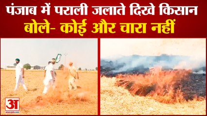 Download Video: Punjab Farmers Start Stubble Burning| पंजाब में पराली जलाते दिखे किसान, सरकार पर मढ़ा जलाने का दोष