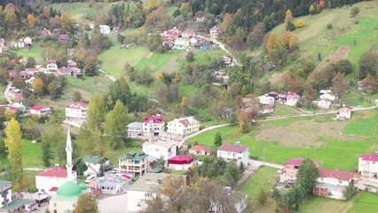 Doğu Karadeniz'in çalışkan kadınları "güz" telaşında