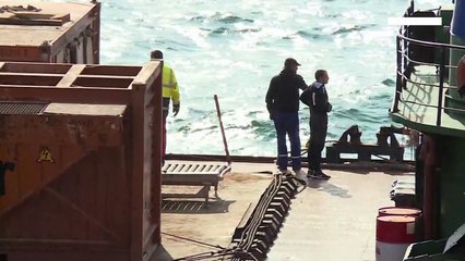 Bulgaria slammed over 'irreversible' ecological impact of Black Sea shipwreck