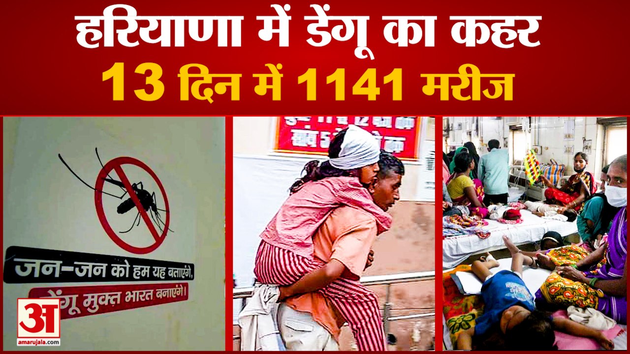 Dengue havoc in Haryana|हरियाणा में डेंगू का कहर, रोजाना प्रदेश में आ रहे हैं 87 मरीज