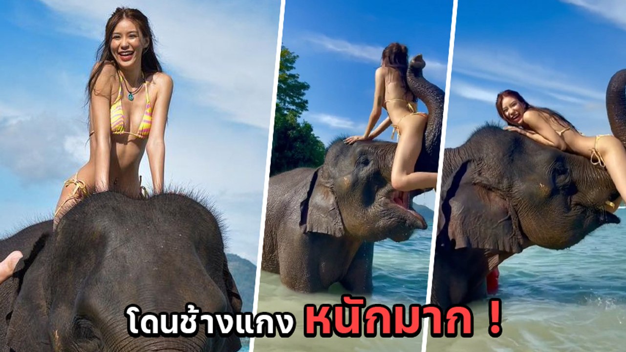 ช้างแสบใช้งวงช้อนสาวขึ้นอย่างสวย ที่ไหนได้.. จบแบบพังมาก