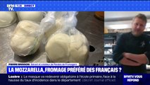 La mozzarella est-elle vraiment devenue le fromage préféré des Français ? BFMTV répond à vos questions