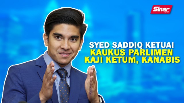 SINAR PM: Syed Saddiq ketuai Kaukus Parlimen kaji ketum, kanabis