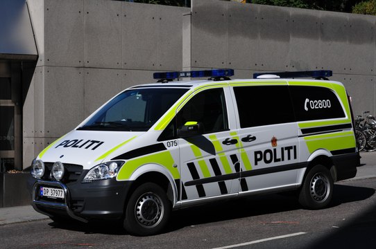 Attaque à l'arc en Norvège : le suspect est un Danois radicalisé