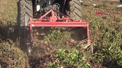 AHLAT'TA PATATESTEN 500 MİLYON LİRA GELİR BEKLENİYOR