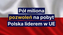 Pół miliona pozwoleń na pobyt w Polsce. Polska liderem w UE
