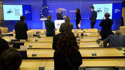 Премия  Европарламента за журналистское расследование