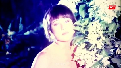 Tomake_Pete_Chai_-_তোমাকে_পেতে_চাই_এই_বুকে_নিতে_চাই