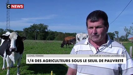 Les éleveurs ont les revenus agricoles et le niveau de vie les plus faibles - Un quart d'entre eux vivent sous le seuil de pauvreté