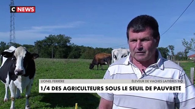 Les éleveurs ont les revenus agricoles et le niveau de vie les plus faibles - Un quart d'entre eux vivent sous le seuil de pauvreté