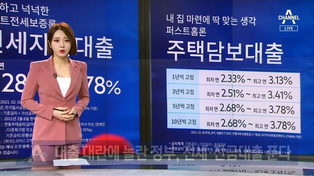 대출 대란에 놀란 정부, 중단됐던 전세·잔금대출 푼다