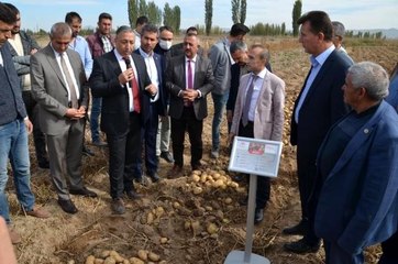 Yerli ve milli patates çiftçilere tanıtıldı