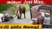 இது தான் ஒத்தை காட்டு யானையின் ஆட்டம் |  Elephant Video | Oneindia Tamil