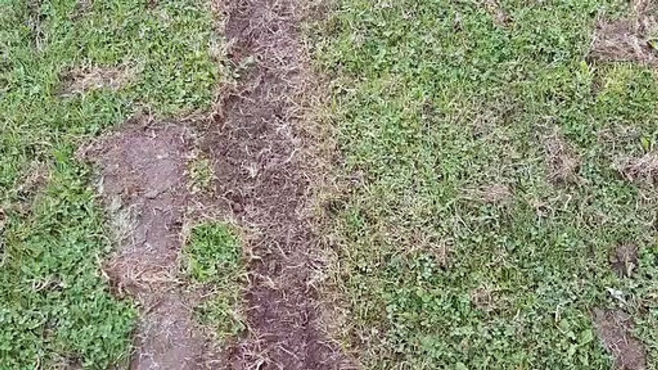 Junior football club left "disappointed" after motor-cross vandals rip up new pitches