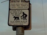 Attention aux chiens - Irlande