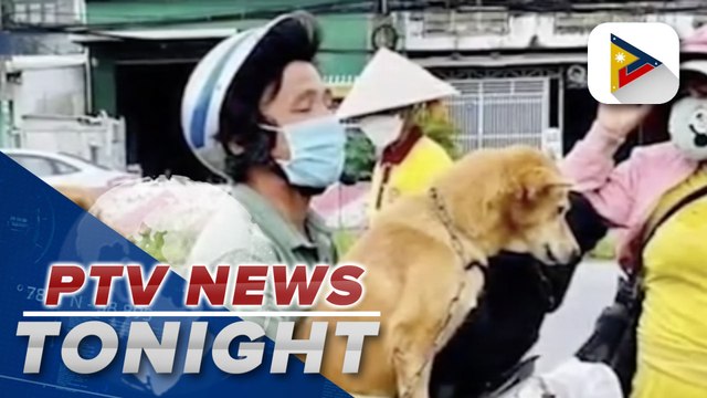 GLOBAL NEWS: Vietnamese couple heartbroken after their 12 dogs were killed over fears of COVID-19 spread; North Korean army gives brutal show of 'strength, bravery, and morale'; Bali reopens to foreign tourists
