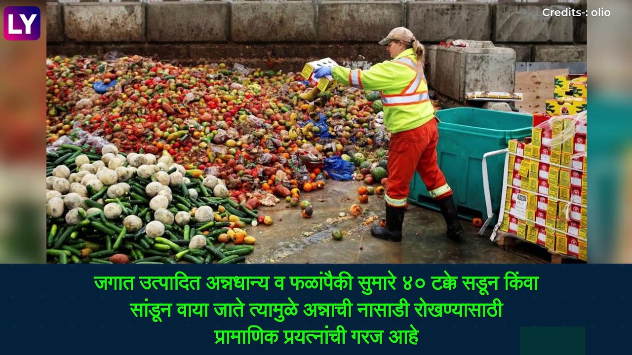 World Food Day: जागतिक अन्न दिनानिमित्त अन्न वाया न जावू देण्यासाठी फॉलो करा \'या\' महत्वाच्या टिप्स