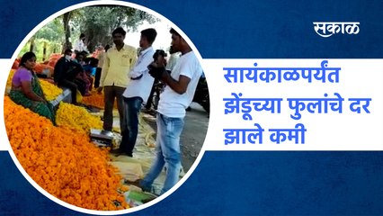 Aurangabad | सायंकाळपर्यंत झेंडूच्या फुलांचे दर झाले कमी | Dussehra | Navratri | Sakal Media