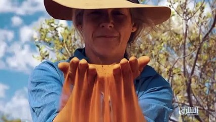 ...استلقى ملتوية على الأرض وصاح ما زلت حيا ...