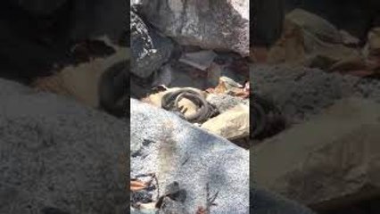 Argument Keeps Going Around in Circles