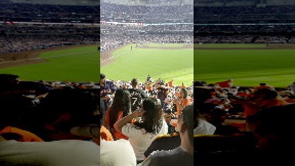 Fans Throw Punches at Baseball Game