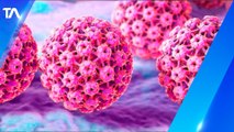 Virus del Papiloma es segunda causa de muerte a nivel mundial en mujeres