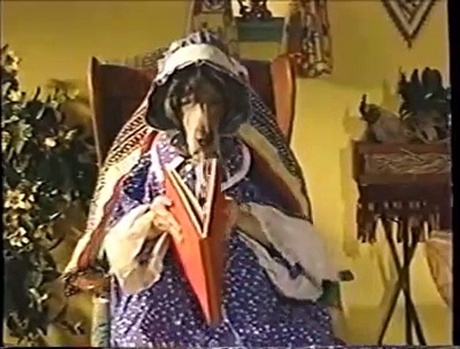 Sesame Street - William Wegman’s Mother Goose (1997 VHS)