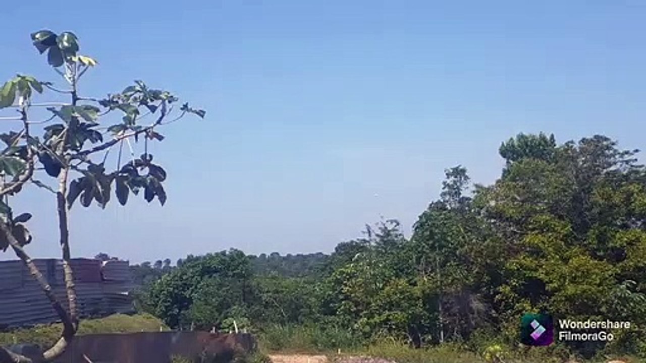 Airbus A321 PT-MXB,Boeing 737-800 PR-VBG e Airbus A320 PT-MYW chegando à Manaus