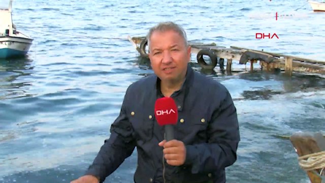 Sahili istila ettiler! Gören cep telefonuna sarıldı