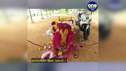 EX. அமைச்சரின் ஜல்லிக்கட்டு காளை உயிரிழப்பு...ஏராளமானோர் இறுதி அஞ்சலி!